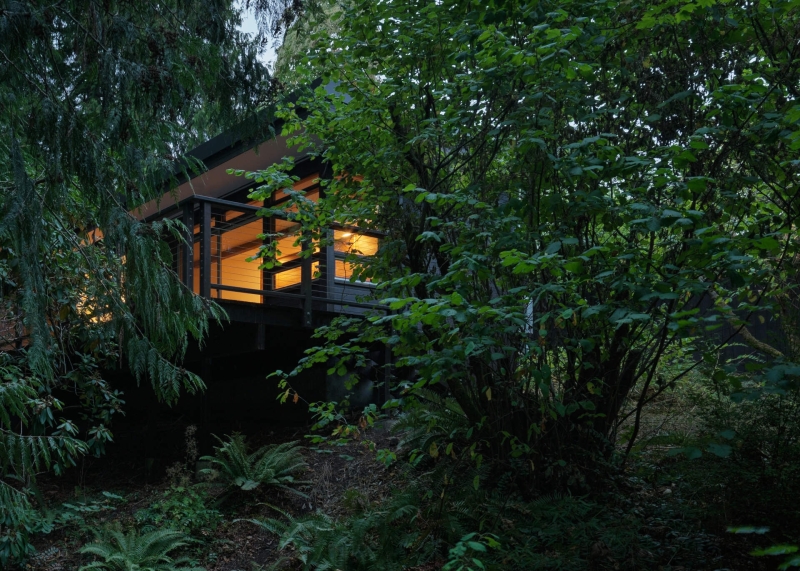This Mid-Century Modern Home Feels Like a Secret Treehouse in the Forest