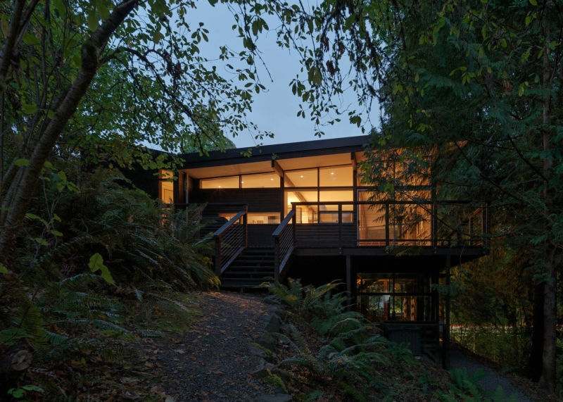 This Mid-Century Modern Home Feels Like a Secret Treehouse in the Forest