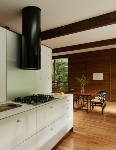 This Mid-Century Modern Home Feels Like a Secret Treehouse in the Forest