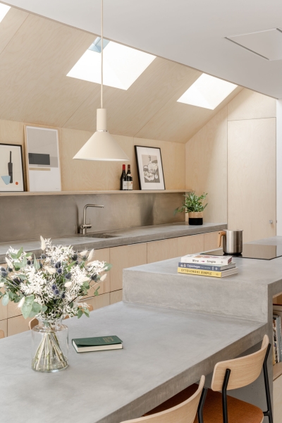 A black wood extension turned this house in London into a light filled garden home