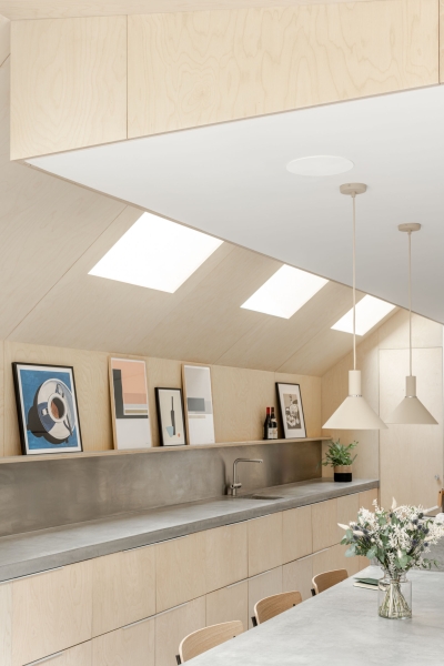 A black wood extension turned this house in London into a light filled garden home