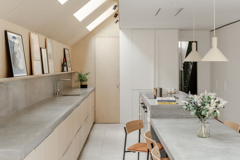 A black wood extension turned this house in London into a light filled garden home