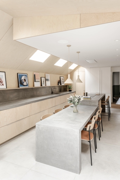 A black wood extension turned this house in London into a light filled garden home