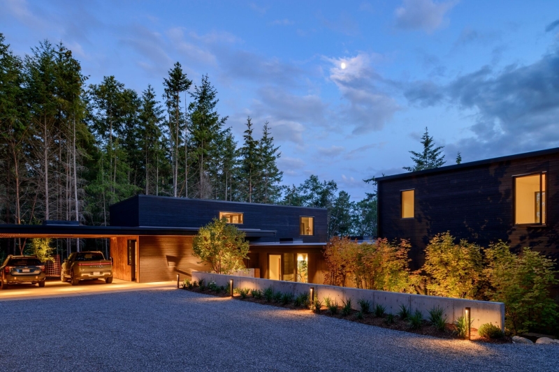 A Look Inside A Home That Feels Like Living in a Forest Sanctuary