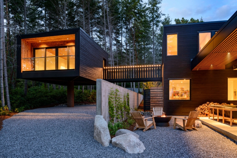 A Look Inside A Home That Feels Like Living in a Forest Sanctuary