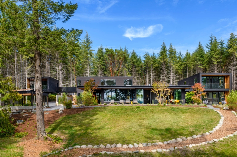 A Look Inside A Home That Feels Like Living in a Forest Sanctuary