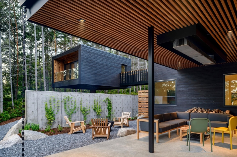 A Look Inside A Home That Feels Like Living in a Forest Sanctuary