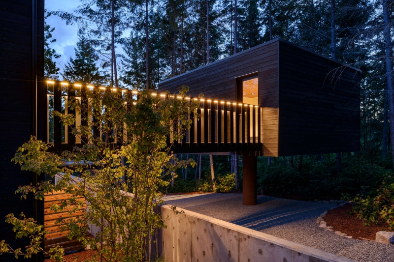 A Look Inside A Home That Feels Like Living in a Forest Sanctuary