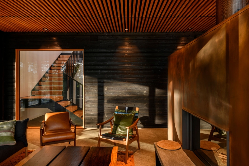 A Look Inside A Home That Feels Like Living in a Forest Sanctuary