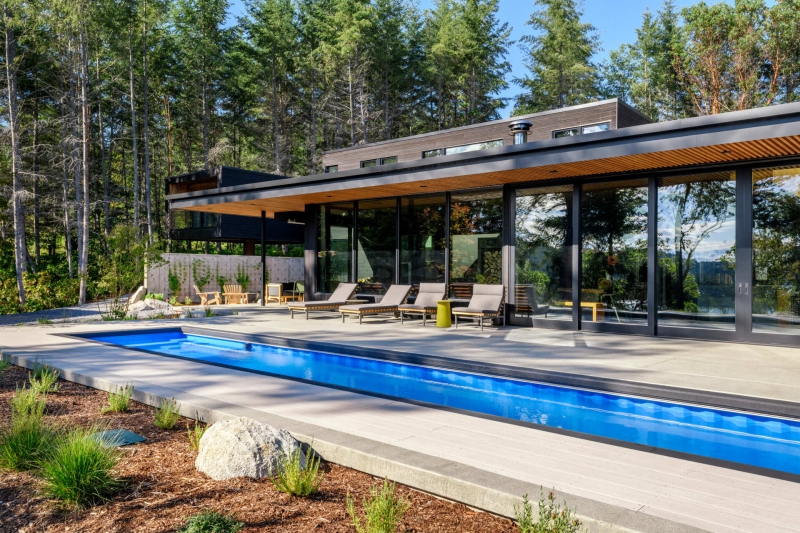 A Look Inside A Home That Feels Like Living in a Forest Sanctuary