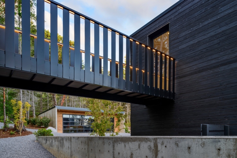 A Look Inside A Home That Feels Like Living in a Forest Sanctuary