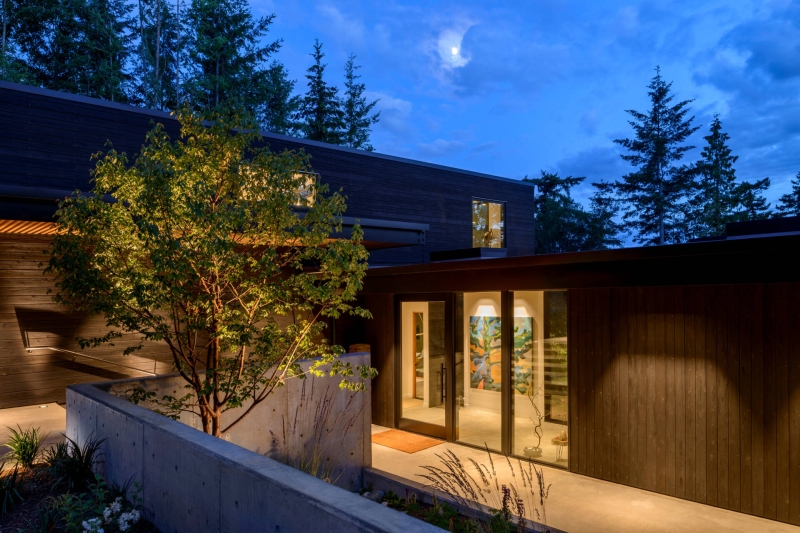 A Look Inside A Home That Feels Like Living in a Forest Sanctuary