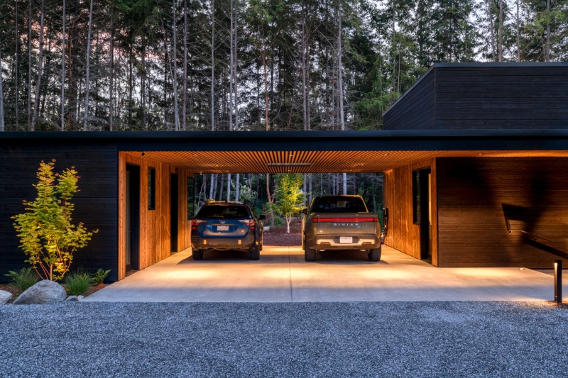 A Look Inside A Home That Feels Like Living in a Forest Sanctuary