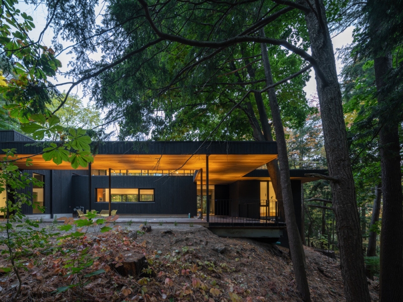 A Mid-Century Modern House Makeover Rooted In Nature