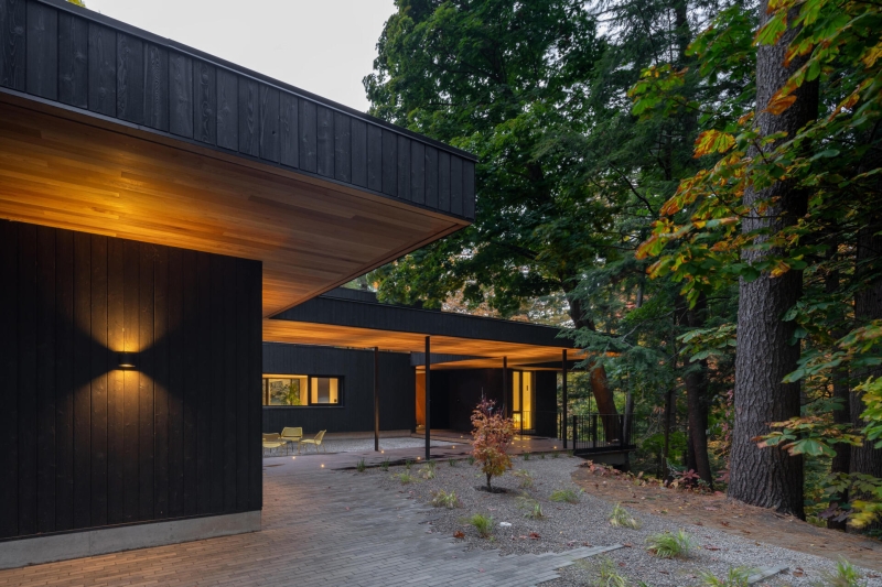 A Mid-Century Modern House Makeover Rooted In Nature