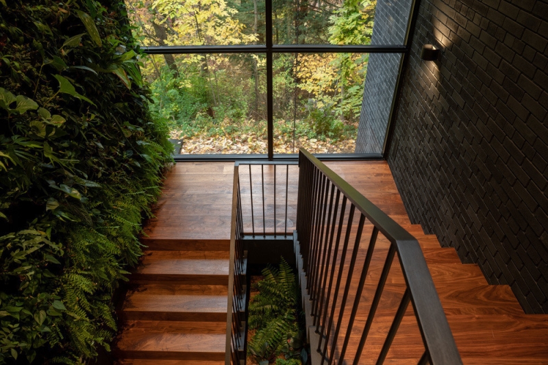 A Mid-Century Modern House Makeover Rooted In Nature
