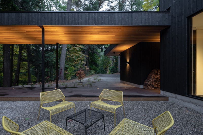 A Mid-Century Modern House Makeover Rooted In Nature