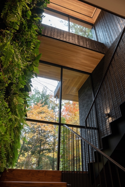 A Mid-Century Modern House Makeover Rooted In Nature