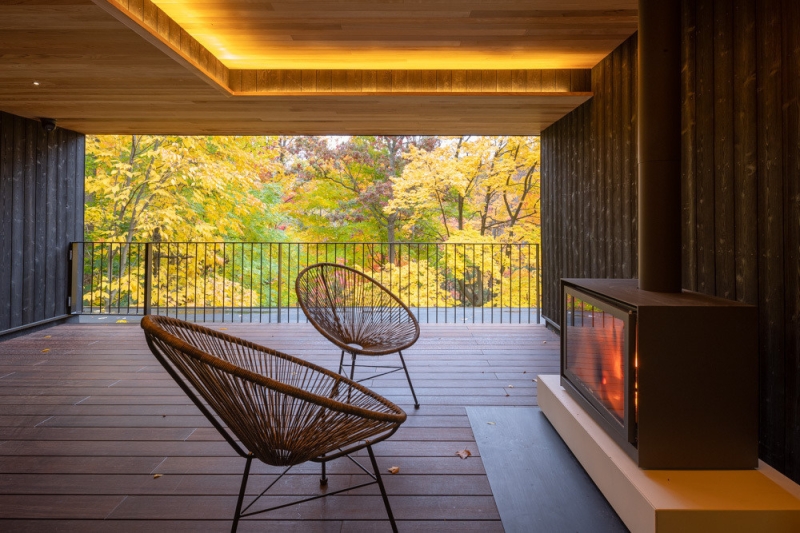 A Mid-Century Modern House Makeover Rooted In Nature