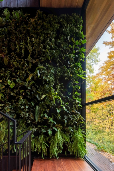 A Mid-Century Modern House Makeover Rooted In Nature