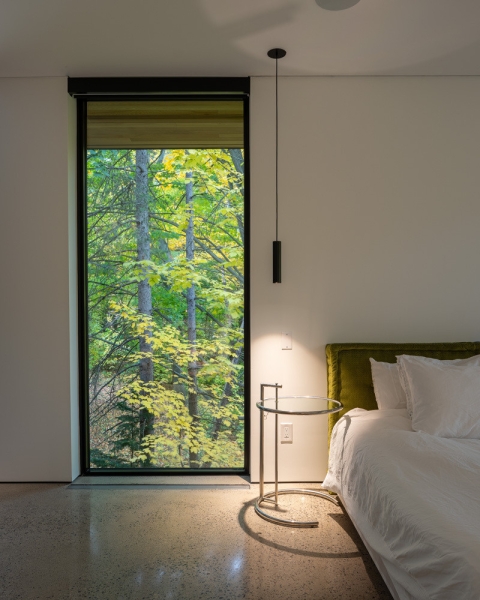 A Mid-Century Modern House Makeover Rooted In Nature