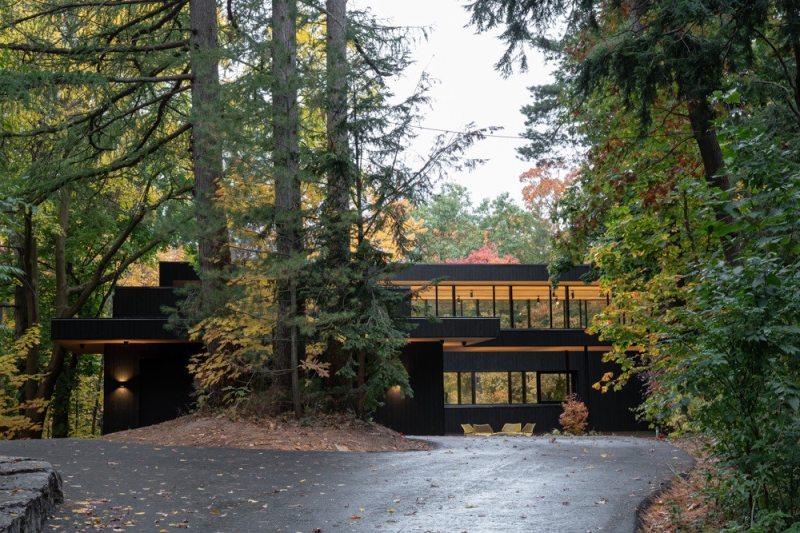 A Mid-Century Modern House Makeover Rooted In Nature