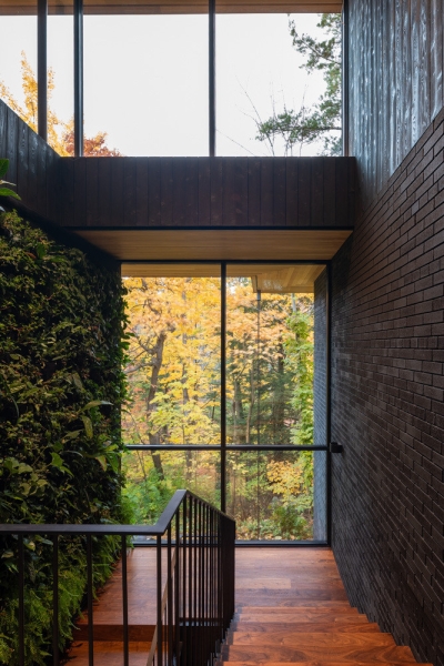 A Mid-Century Modern House Makeover Rooted In Nature