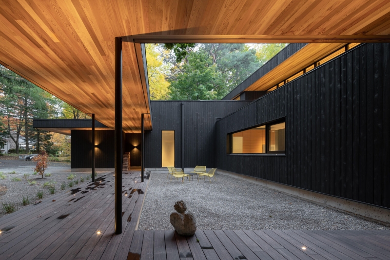 A Mid-Century Modern House Makeover Rooted In Nature