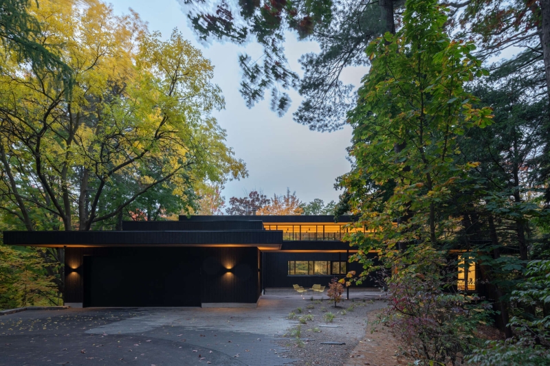A Mid-Century Modern House Makeover Rooted In Nature