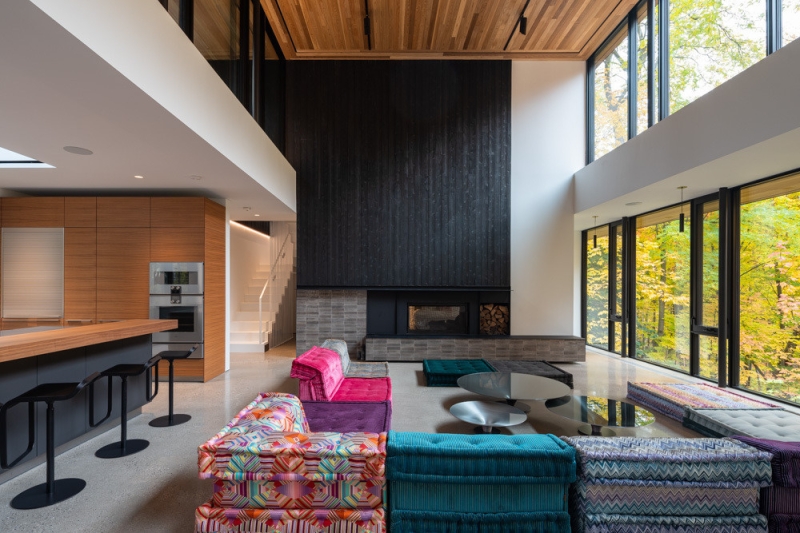 A Mid-Century Modern House Makeover Rooted In Nature