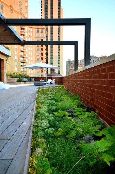 A Rooftop Garden That Turned a City View into a Private Oasis