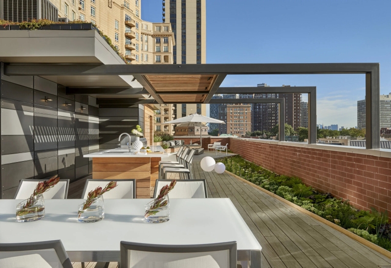 A Rooftop Garden That Turned a City View into a Private Oasis