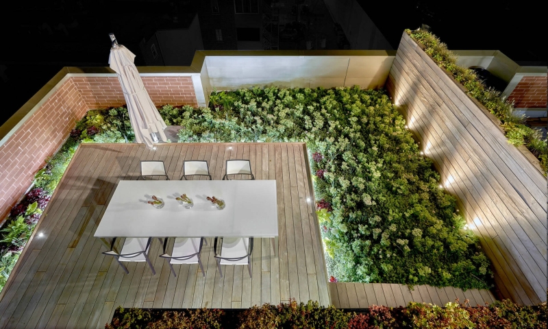 A Rooftop Garden That Turned a City View into a Private Oasis
