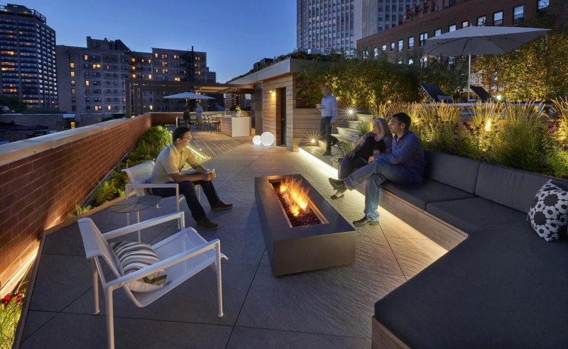 A Rooftop Garden That Turned a City View into a Private Oasis