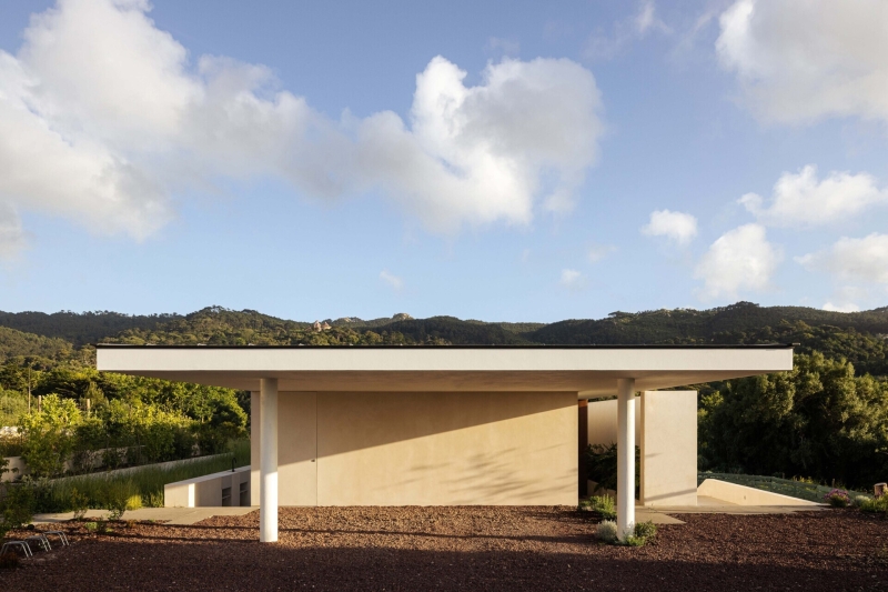 Blending Into Nature: A Half-Buried House With A Green Roof