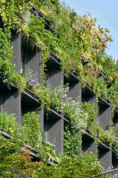 Could This Be the Most Instagrammable Hotel in the Paris?
