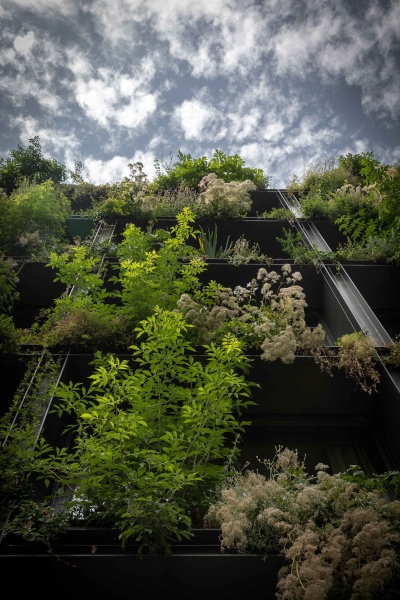 Could This Be the Most Instagrammable Hotel in the Paris?