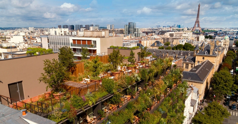 Could This Be the Most Instagrammable Hotel in the Paris?