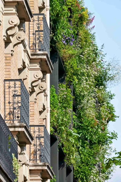 Could This Be the Most Instagrammable Hotel in the Paris?