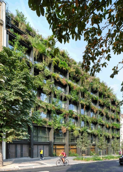 Could This Be the Most Instagrammable Hotel in the Paris?