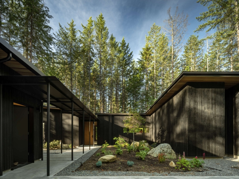 Inside the Forest Home That’s All About Light, Space, and Simplicity