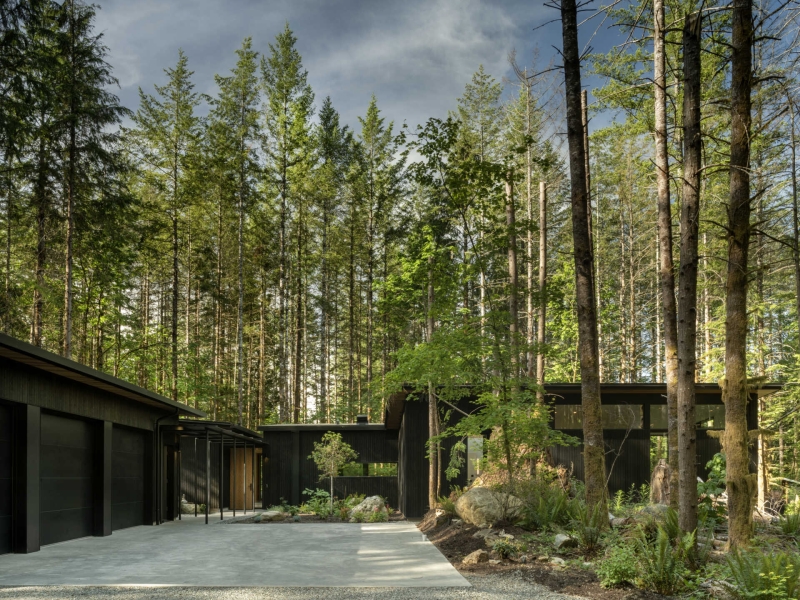 Inside the Forest Home That’s All About Light, Space, and Simplicity