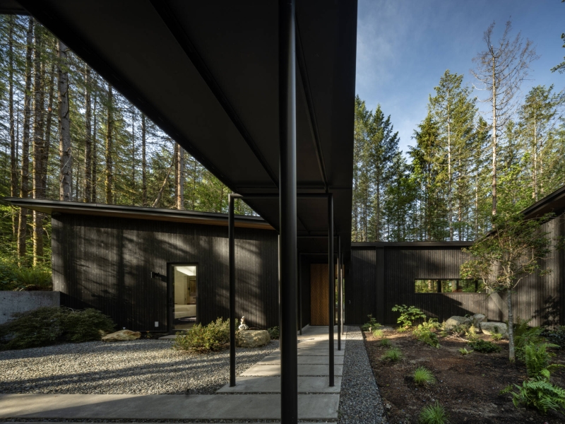 Inside the Forest Home That’s All About Light, Space, and Simplicity