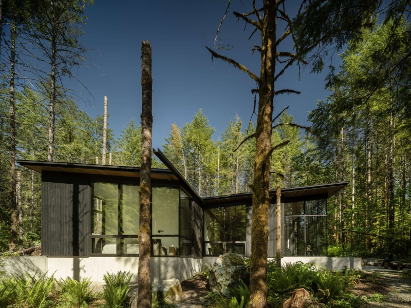 Inside the Forest Home That’s All About Light, Space, and Simplicity