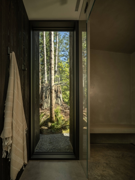 Inside the Forest Home That’s All About Light, Space, and Simplicity