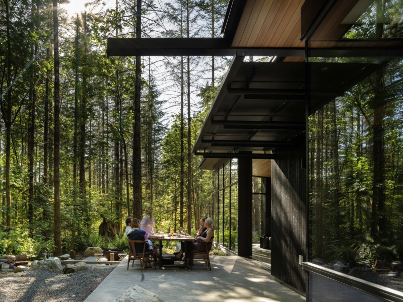 Inside the Forest Home That’s All About Light, Space, and Simplicity