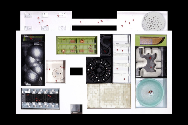 OMA’s Shohei Shigematsu Designs Louis Vuitton’s First ‘Visionary Journeys’ Exhibition in Osaka