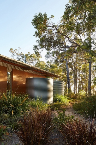 The Clever Design Behind This Modern Forest House