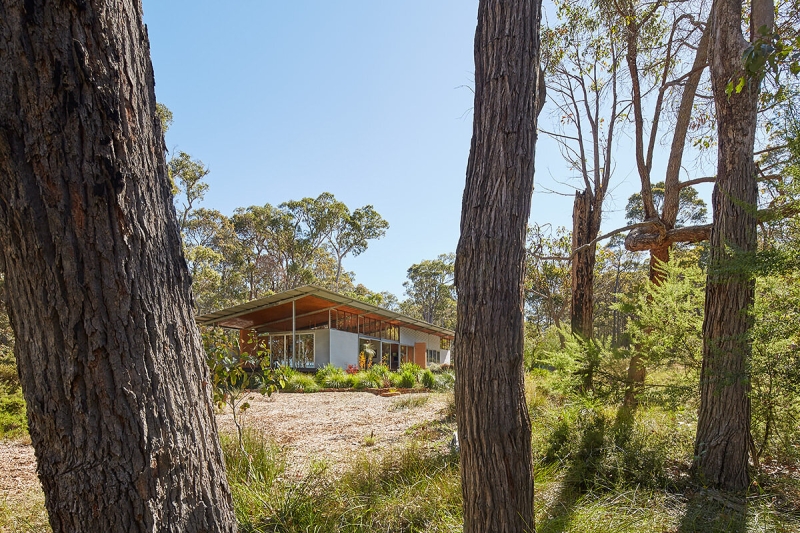 The Clever Design Behind This Modern Forest House