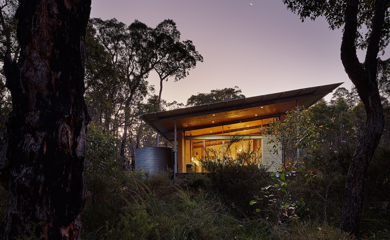 The Clever Design Behind This Modern Forest House